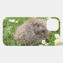 Search for hedgehog iphone cases Nature