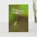 Search for seed birthday cards Dandelion