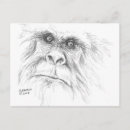 Search for sasquatch postcards Animals