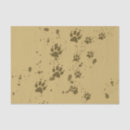Search for paw print tissue paper Tracks