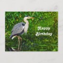 Search for heron cards Wading bird