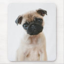 Search for adorable dog mousepads Portrait