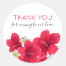Search for red hibiscus stickers Luau