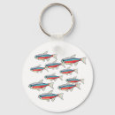 Search for tetra Aquarium