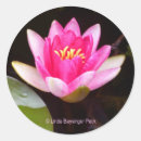 Search for linda stickers Pink