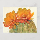 Search for cactus postcards Foliage