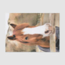Search for horse tissue paper Farm animal