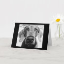 Search for retired veterinarian cards Co worker