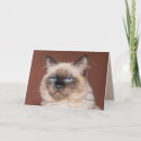 Search for rag doll cards Cat