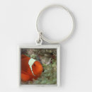 Search for two fish key rings Outdoors