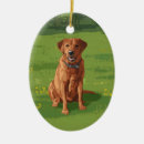 Search for red lab christmas tree decorations Dog lover