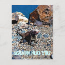 Search for iguana lizard postcards Reptiles