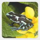 Search for sea plants stickers Green