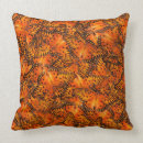 Search for orange butterfly cushions Photography