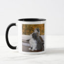 Search for sitting cat mugs Close up