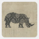 Search for rhinoceroses Zoo