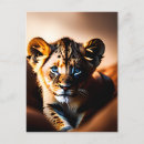 Search for cute lion postcards Wildcat