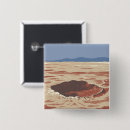 Search for crater badges Desert
