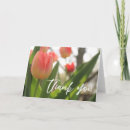 Search for tulips thank you cards Flowers