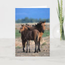Search for foal cards Mustang