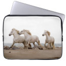 Search for mer electronics Horse