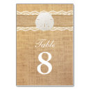Search for seashells table cards Sand dollar