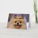 Search for pomeranian birthday cards Photography