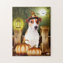 Search for halloween Night