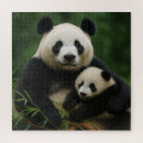 Search for panda puzzles Nature