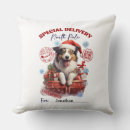 Search for border collie cushions Winter