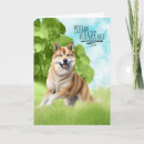 Search for funny dog congratulations cards Dogs