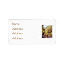 Search for stream return address labels Trees