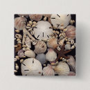 Search for shells badges Sea