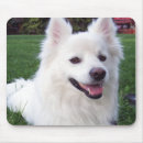 Search for eskimo electronics Animals
