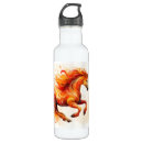 Search for new year water bottles Chinese