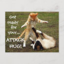 Search for attackers postcards Funny