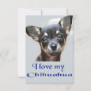 Search for i love chihuahuas cards Puppy