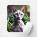 Search for hairless mousepads Animal