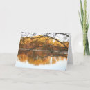 Search for reflection cards Scenic
