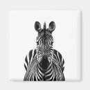 Search for zebra square magnets Animals