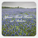 Search for texas wildflower stickers Texan