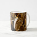 Search for penguin baby mugs Animals in the wild
