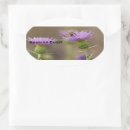 Search for digital photo stickers Nature