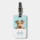 Search for airedale accessories Airedale terrier dog