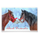Search for horee Horses