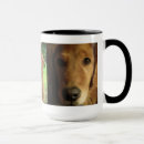 Search for love golden retriever mugs Puppy
