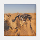 Search for sahara magnets Tunisia