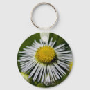 Search for digital animals key rings Photography