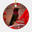 Search for hummingbird christmas tree decorations Beautiful