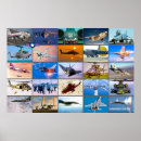Search for desert storm posters Navy